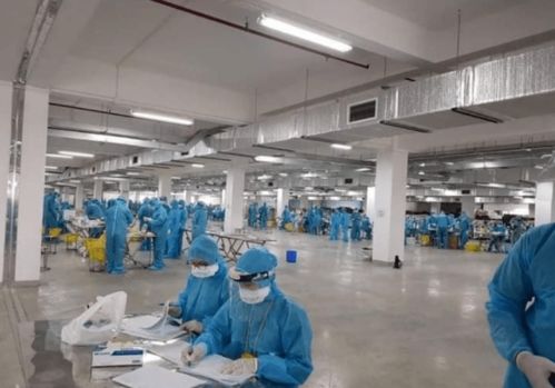 越南一工厂248人感染,公司瞒报 申洲国际越南厂因疫情暂停营运